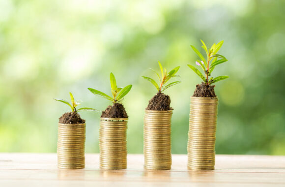 Los bonos verdes son un ejemplo de finanzas sostenibles